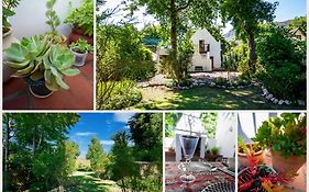 Bluebelle Cottage
